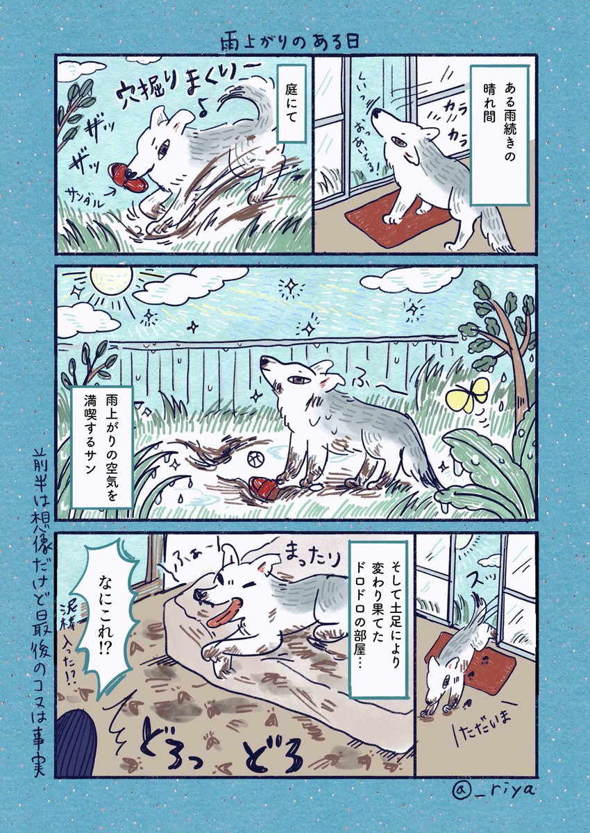デカい狼犬との日常🐺

「雨上がりのある日」
どろっどろ 
