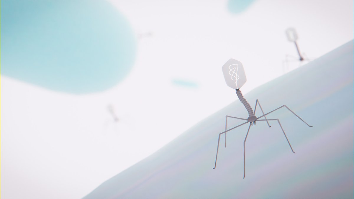 CSICval's tweet image. 🔬🦠 El @i2sysbio revela cómo cierto tipo de fagos evoluciona y se adapta para atacar a diferentes bacterias.

💉💊 Un paso más hacia terapias personalizadas frente a bacterias resistentes a antibióticos, que causan 35.000 muertes al año en España.

delegacion.comunitatvalenciana.csic.es/un-estudio-rev…