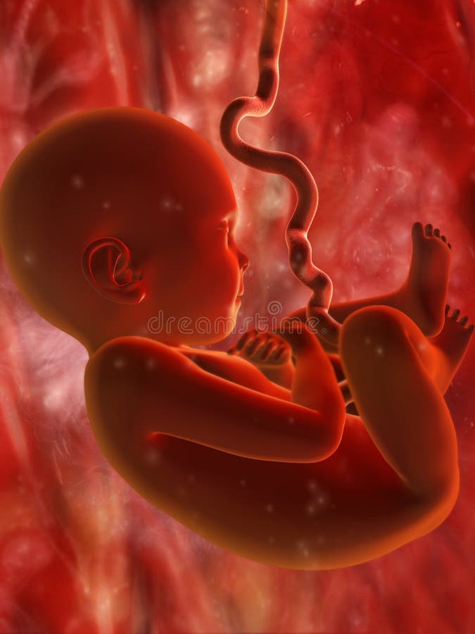 שבועיים ככה יסדרו אותי