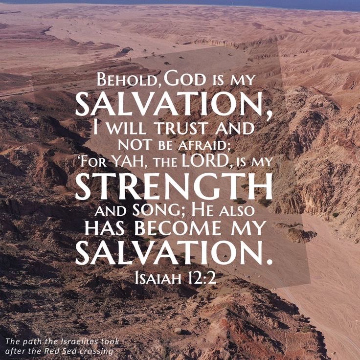 Chapter 12 🕯️🪔