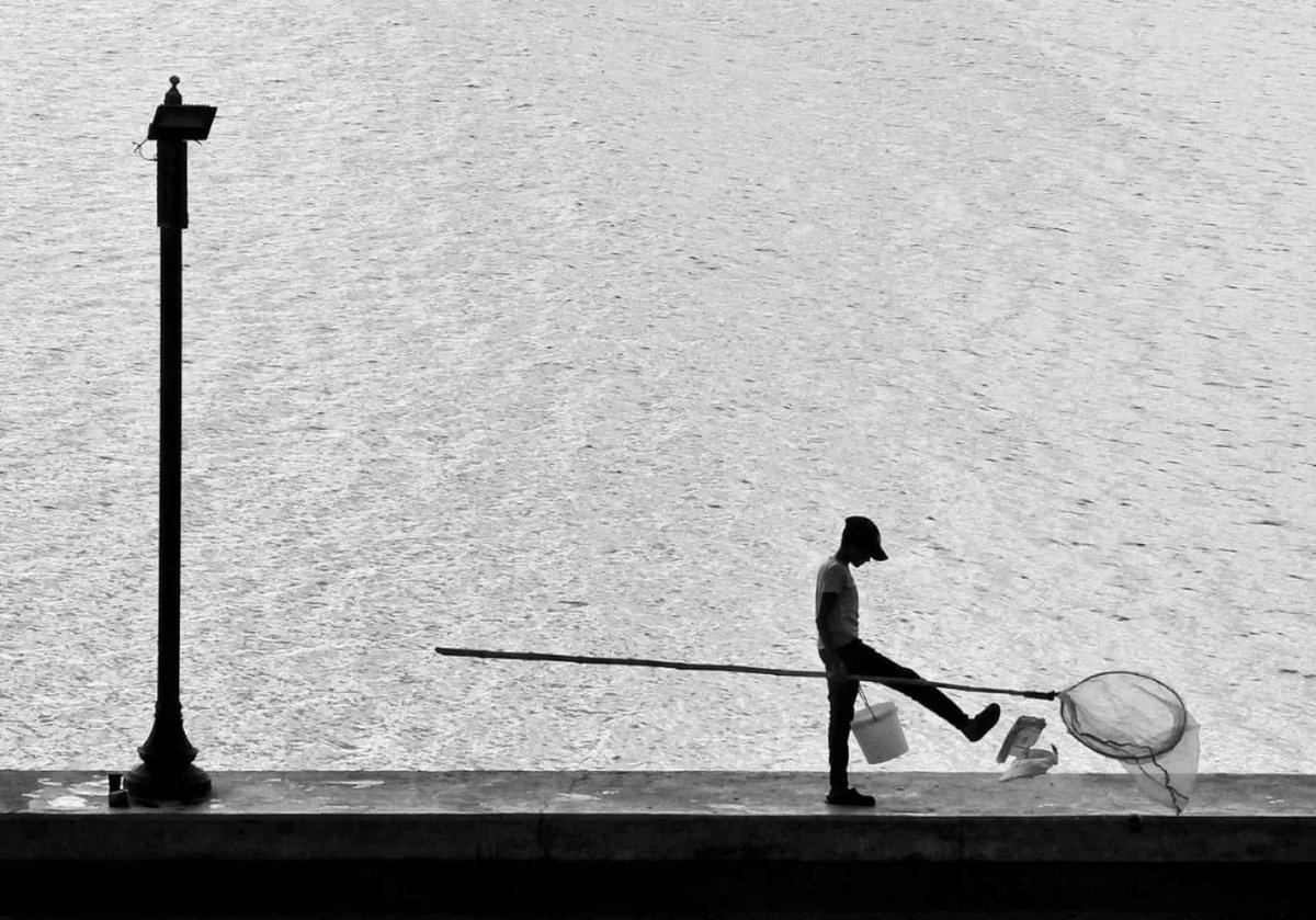 فلسفة مُلهمة ‏ tweet media