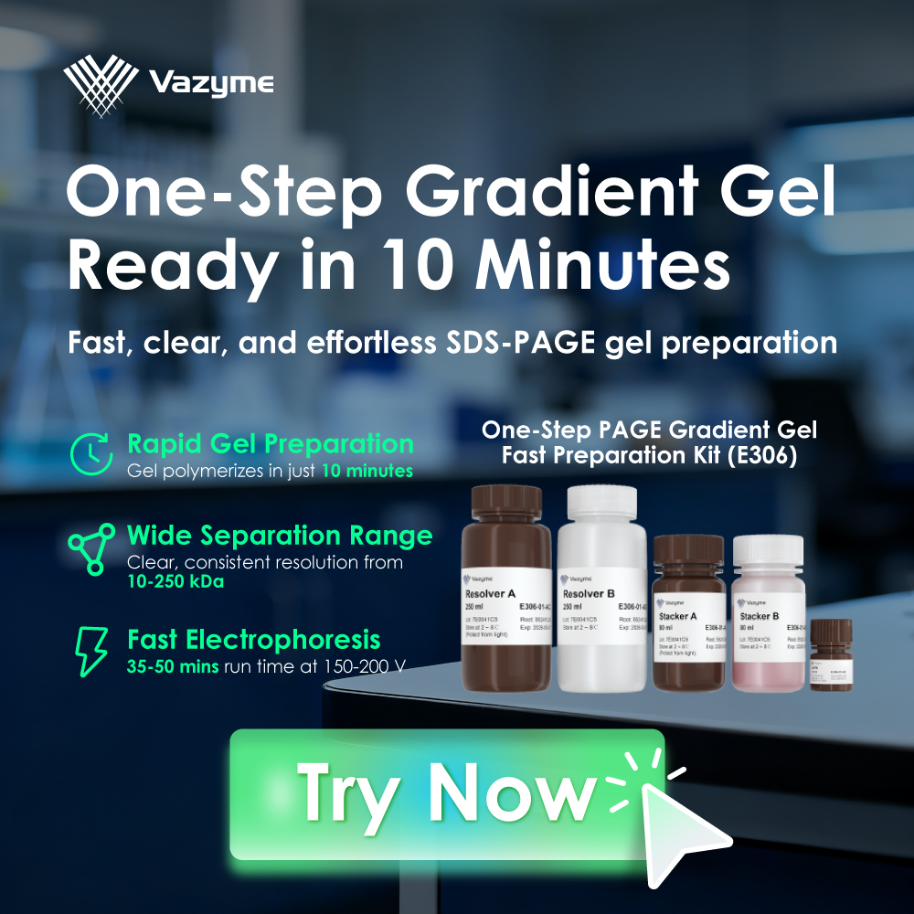 The One-Step PAGE Gradient Gel Fast Preparation Kit streamlines SDS-PAGE prep for faster, cleaner, and more reliable results>>bit.ly/3Y1kaNv
✅ 10-min Gel Polymerization
✅ 10–250 kDa Separation
✅35–50 min Run Time
 #LifeSciences #Biotech #ProteinAnalysis #SDSPage