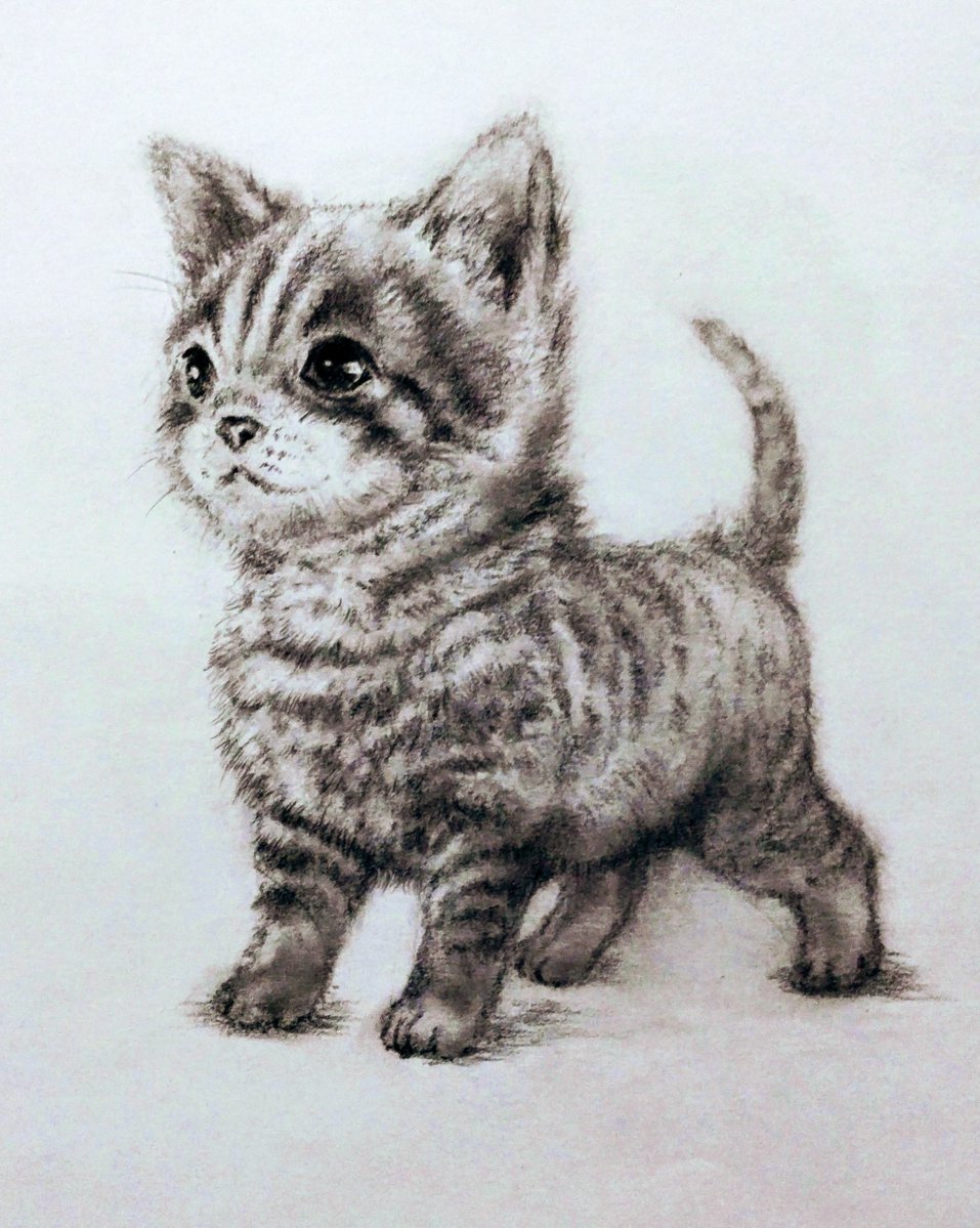 花猫　絵画　イラスト　ドローイング 寄りかかるネコ」 A4 三越伊勢丹オンライン用作品 2021年9月1日より