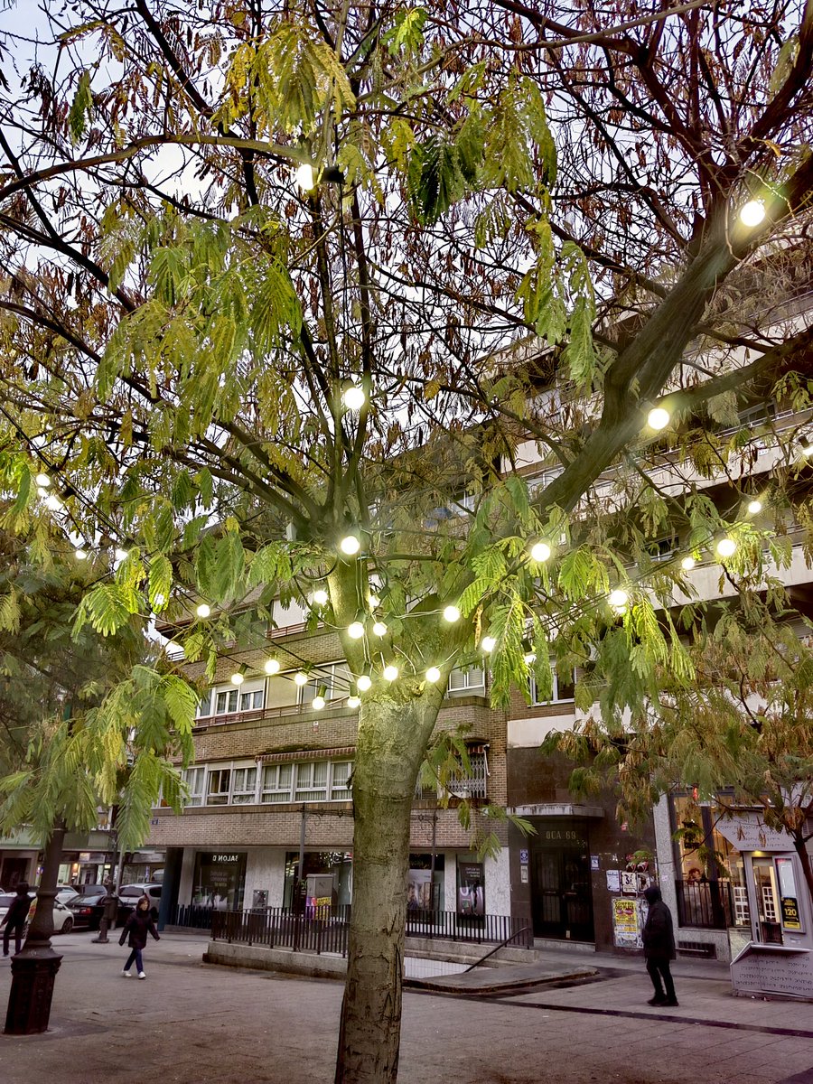 Blues de otoño vol. 3
📍Carabanchel, Madrid 🐾🐕