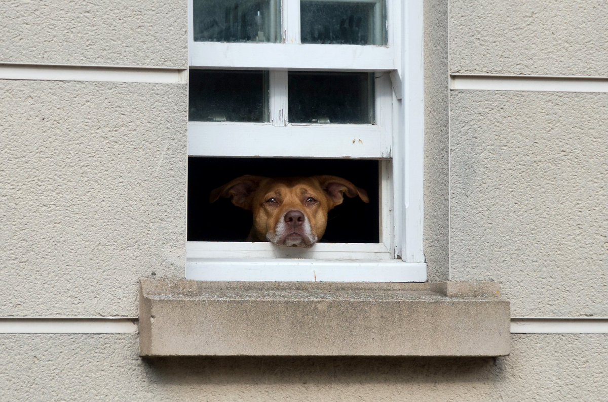 sasastro's tweet image. I took this during lockdown and called it Lockdown Blues #AlphabetChallenge #WeekWforWindows