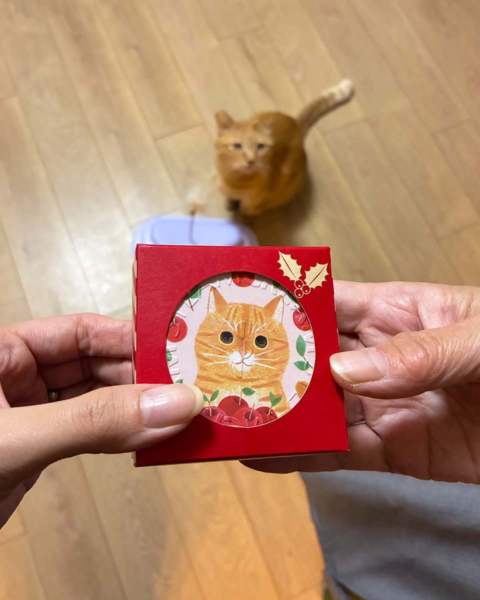 猫好きのお母さんへ、贈り物。 こんにちは、スタッフ ココリです