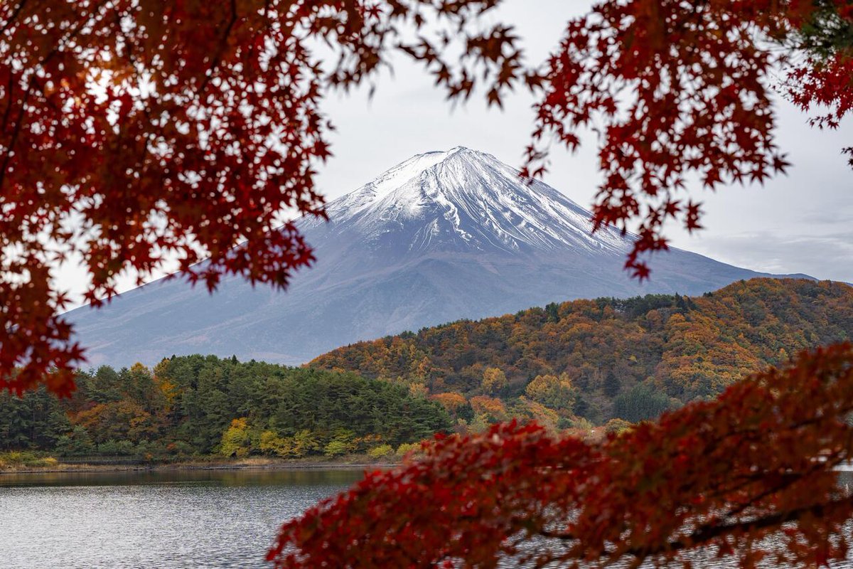 DocAtCDI's tweet image. Enjoy #OurEarthPorn!
(Steal This Hashtag for your own &amp;amp; join the community of Nature Addicts! )

Autumn colors around Lake Kawaguchi [7008x4672] [OC] 
Photo Credit: Darth_okonomiyaki 
.