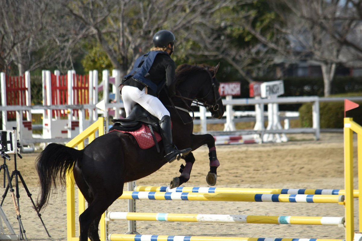 fukubaz's tweet photo. 大会の様子1 https://t.co/40Hhwmti2U