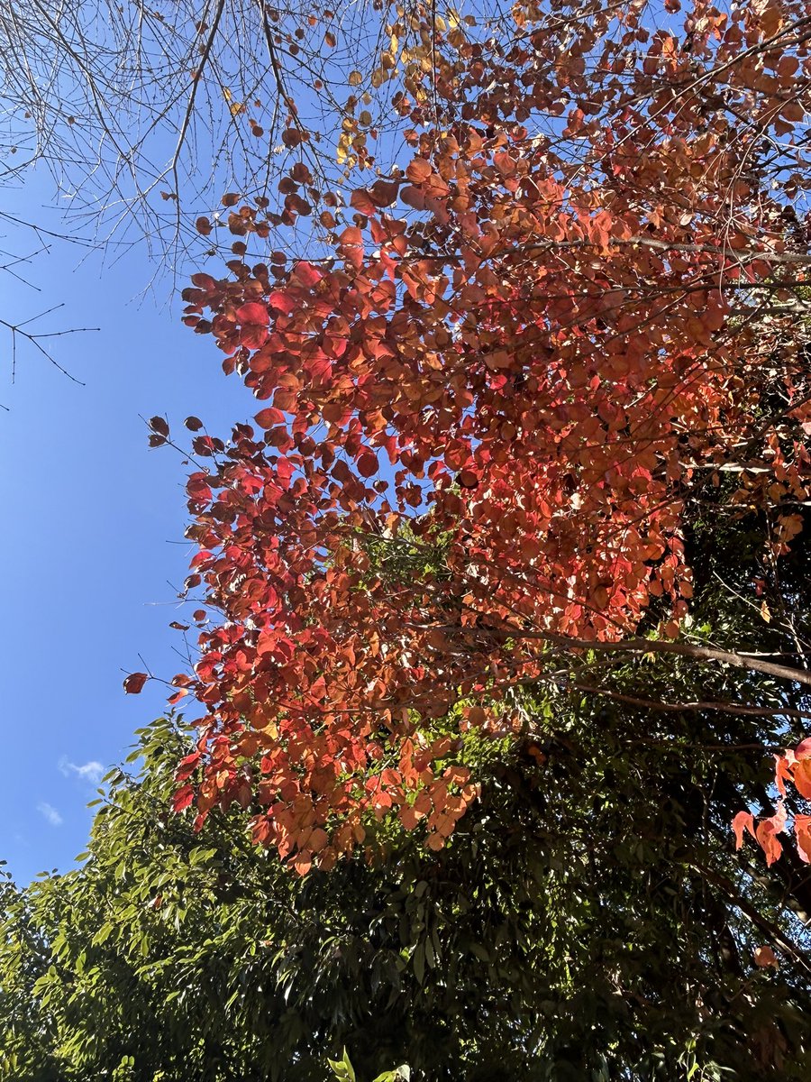 二日月 (@namigakumoon) / Posts / X