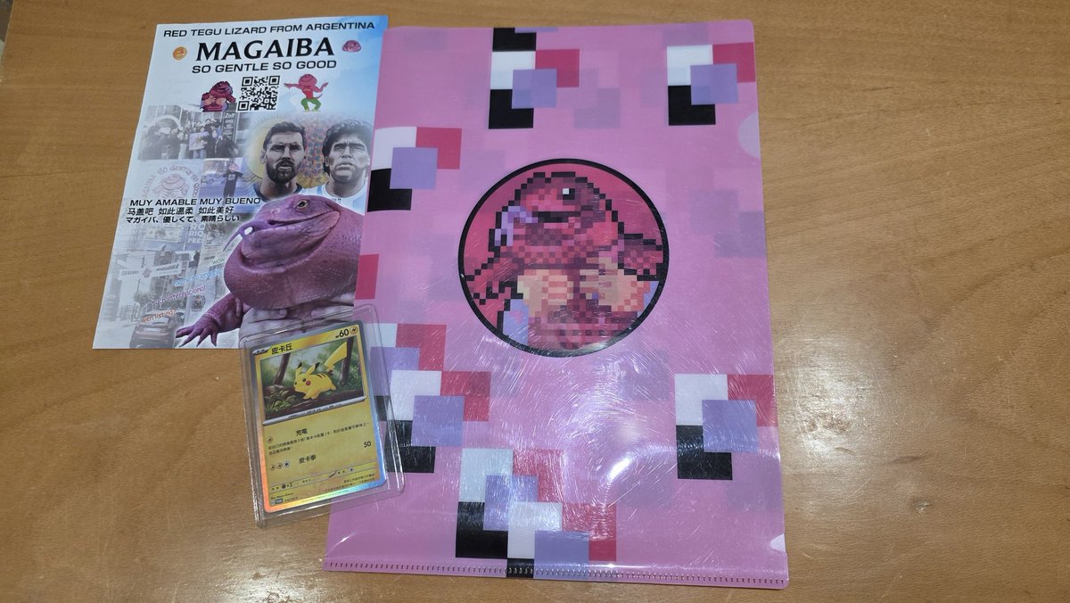 Realmente un día increíble, gracias de nuevo por tanto Solblue. Tremendo lo lejos que llegó Magaiba y las cosas que logró.

El mantra de "so gentle so good" se terminó materializando de verdad. Realmente Magaiba son los amigos que hicimos en el camino. Invaluables regalos todos.