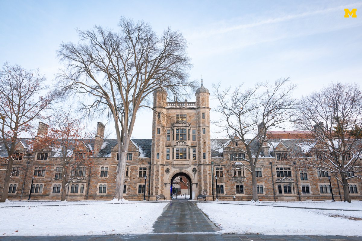 Feeling winterful ⛄️