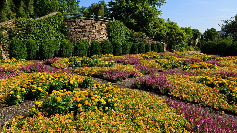 Yesterday we were touring a fairly savvy visitor around <a href="/UsaRidge/">RidgeRunner 🇺🇸</a>’s properties.

She remarked that in the digital age, stripped down, analog experiences are becoming a new luxury good. And real physical experiences, like hunting or gardening, are exploding.

I completely agree.