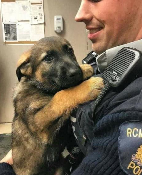 It's okay buddy, I was scared on my first day too 🤗❤️