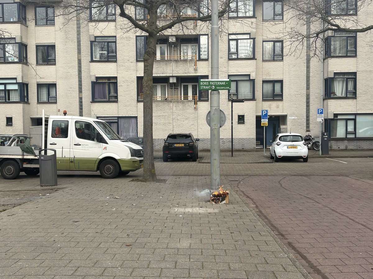 Mascha de Jong 🪼 tweet media