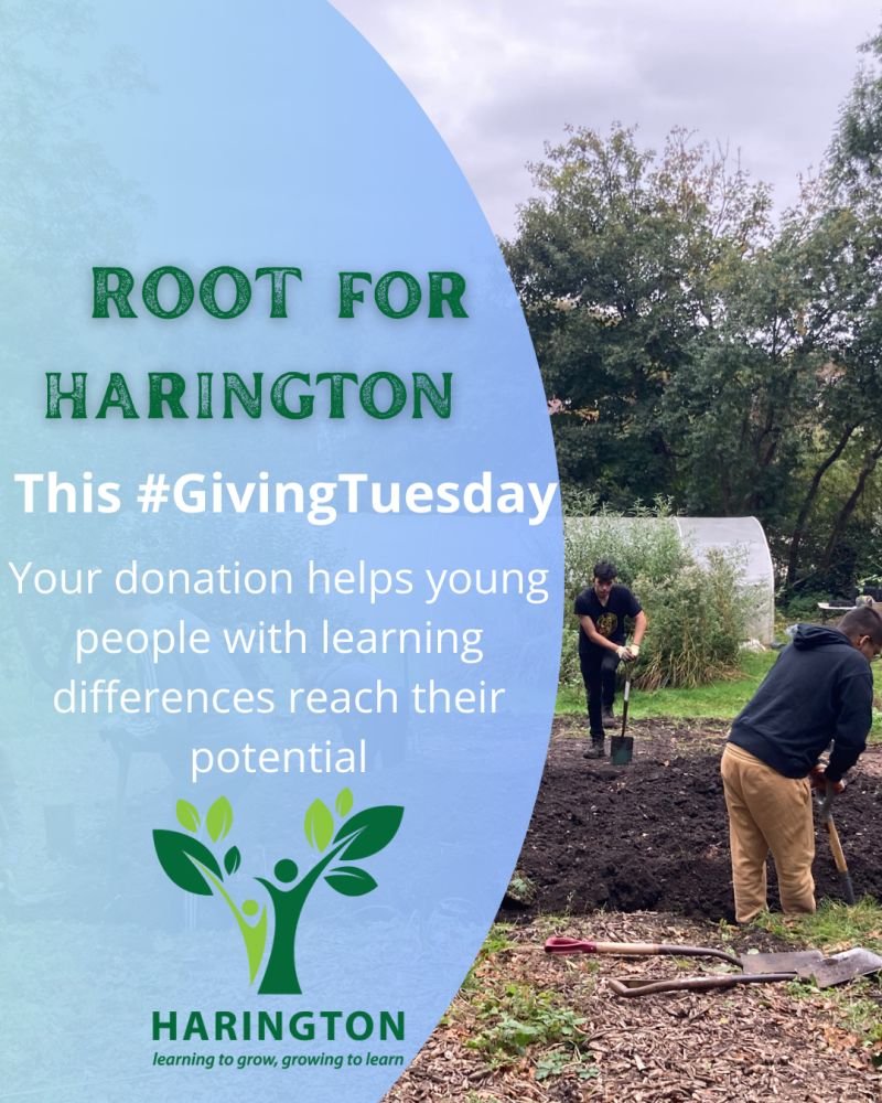 Harington tweet media