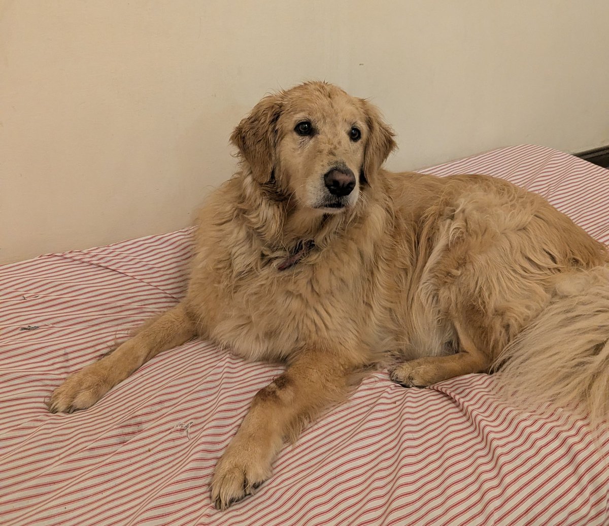 femmenart's tweet image. sweet baby muddy princess doll