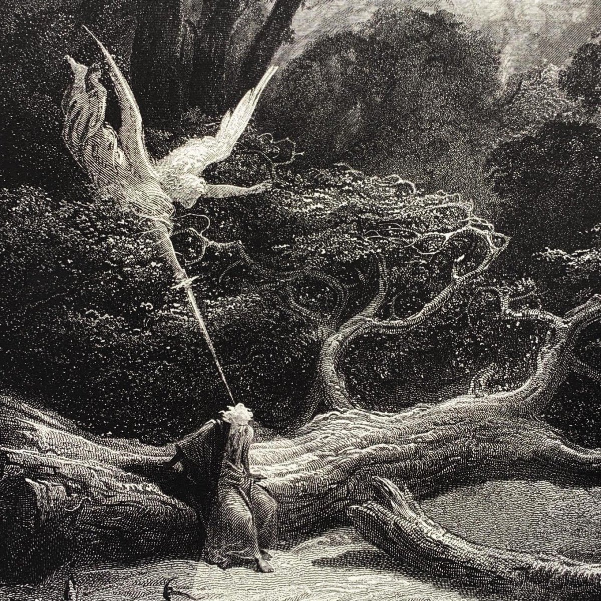 RT @chimesatmidnyte: “丹·希利尔与多雷先生的天使干预”。