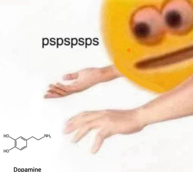 2Lambroz 🐑 (🧑🍳🥩🤌) tweet media