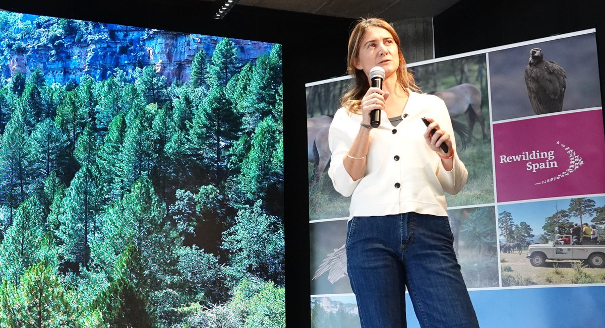 Rewilding Spain Oficial tweet media