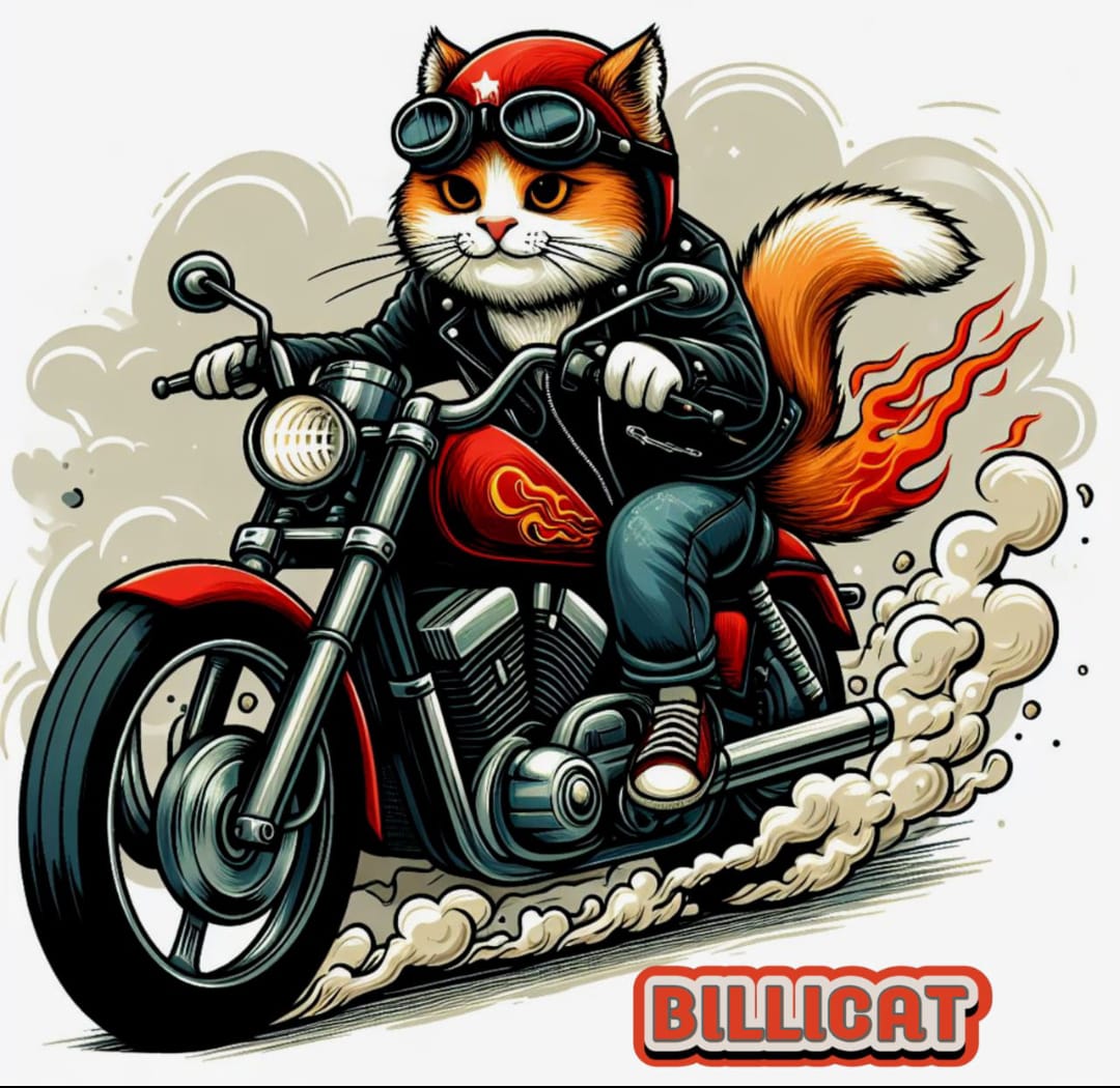 prosper4ever15's tweet photo. @DeMessenge01 The joy and celebration on billicat is loading, something serious and mind blowing is about to happen soon, #Bcat is a game changer, bullish,
#billicat
#billex
@JohnCena
@Vindicatedchidi
@frost100x
@SafiaCrypto
@anndylian https://t.co/ArpUn4yyYx