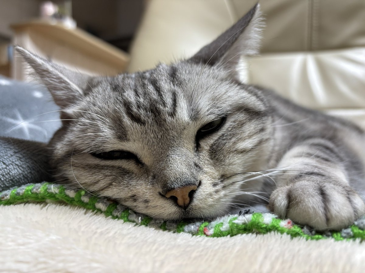 みふゆ(三冬) (@mifuyu_916) / Highlights / X