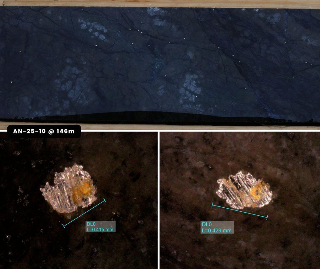 First Atlantic Nickel tweet media