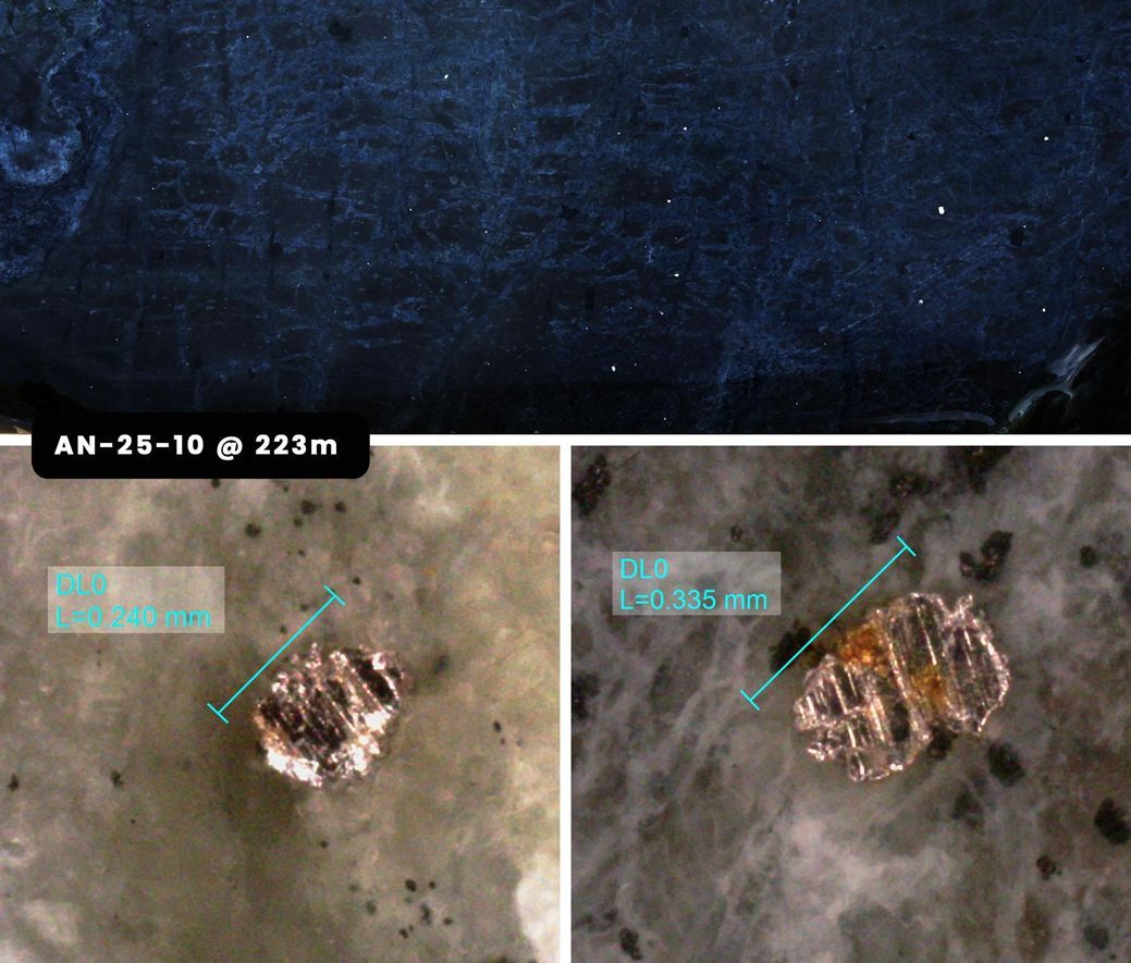 First Atlantic Nickel tweet media