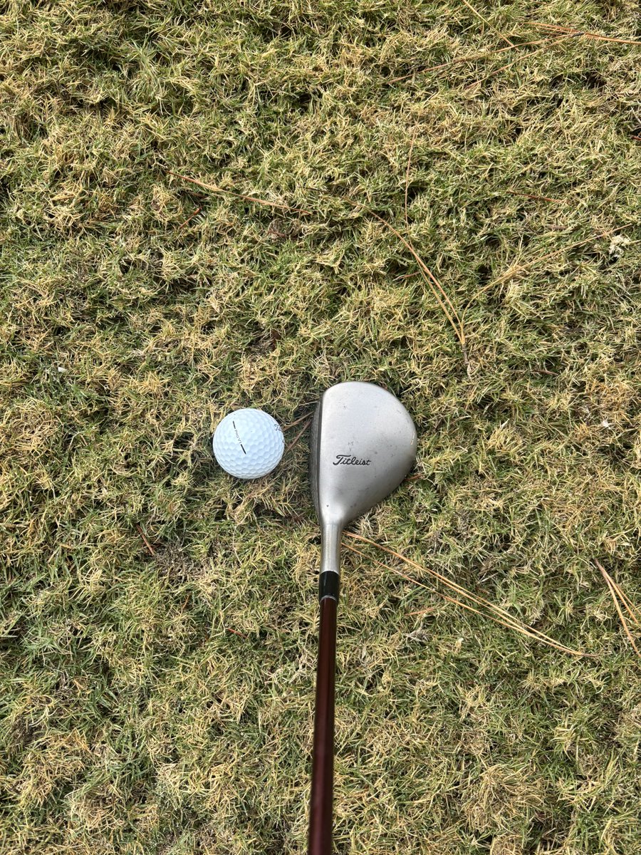 thwacknicklaus's tweet photo. Had to sit and think about this lay up yesterday. With a modern 3W, I would have simply blasted it out of there.
Went with the 2i; it was sitting pretty nicely. PT can get a little squirrely…
These sorts of decisions would curb some of the bomb and gouge game…
#propergolf https://t.co/Z4k3kvJC5B