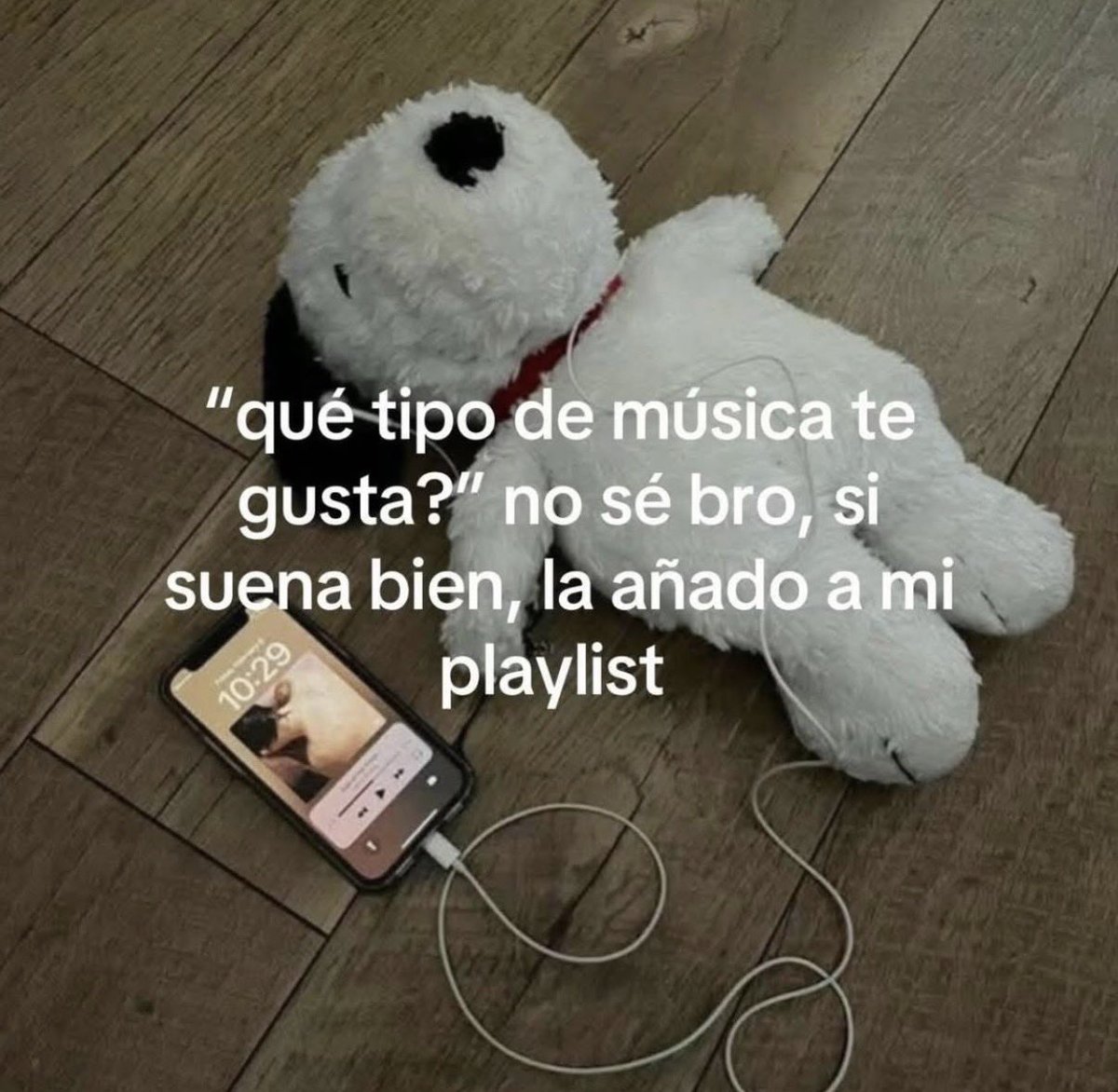 vibesfyp's tweet image. 