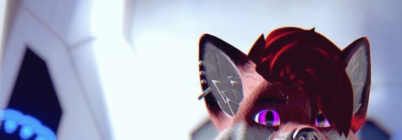 GUACFOX tweet media