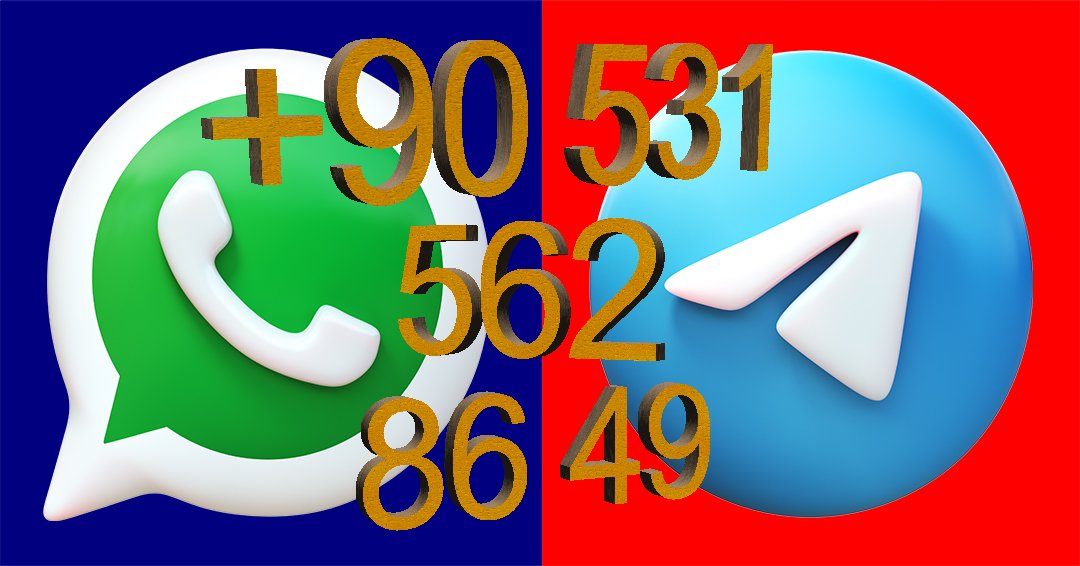 Maxi Tvip tweet media