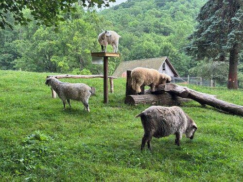 Une ferme de Franklin, en Caroline du Nord, a soumis cette image pour son offre d'emploi aujourd'hui, et le nom du fichi
