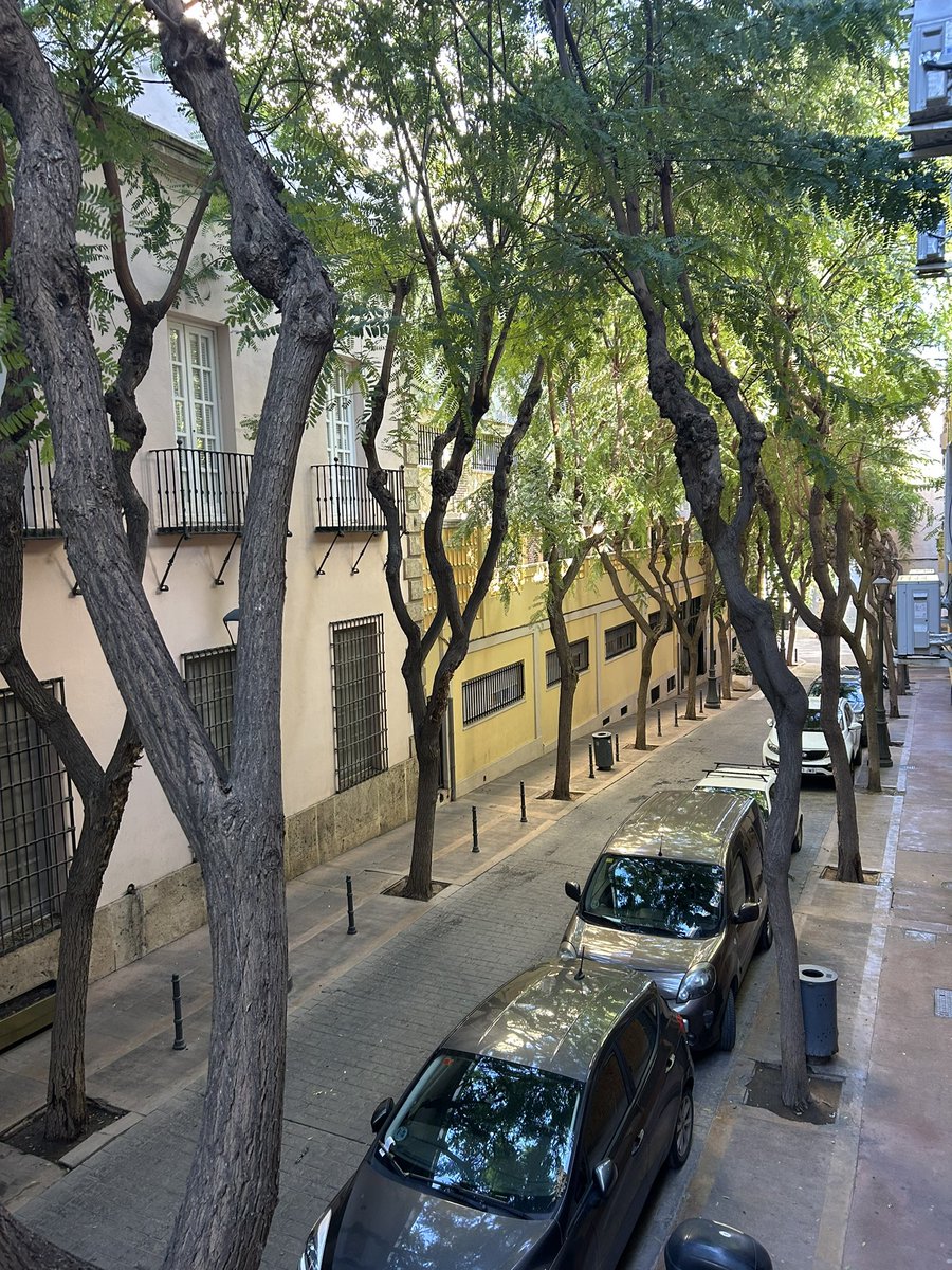 duskore's tweet photo. Una pena el abandono en la Calle Infanta de Almería, el @aytoalm no poda los árboles y no entra luz a las casas. Ramas en la fachada del archivo histórico, suciedad y excrementos a 20 metros de la catedral y donde viven personas mayores que se sienten abandonadas e ignoradas. 🤦🏽‍♂️ https://t.co/HD2ynqDzgU