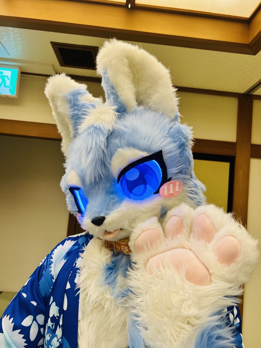 まさぽんページ まさぽん🐺 (@4800_mx) / Posts / X