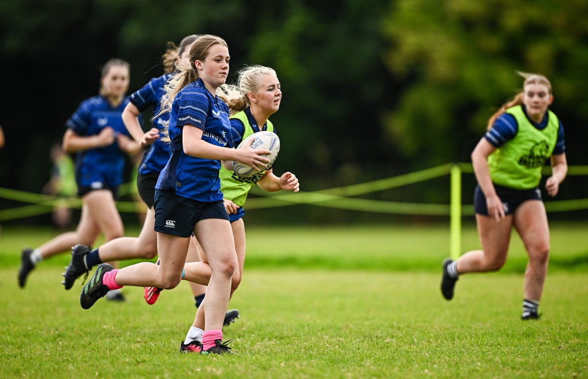 Leinster Domestic tweet media