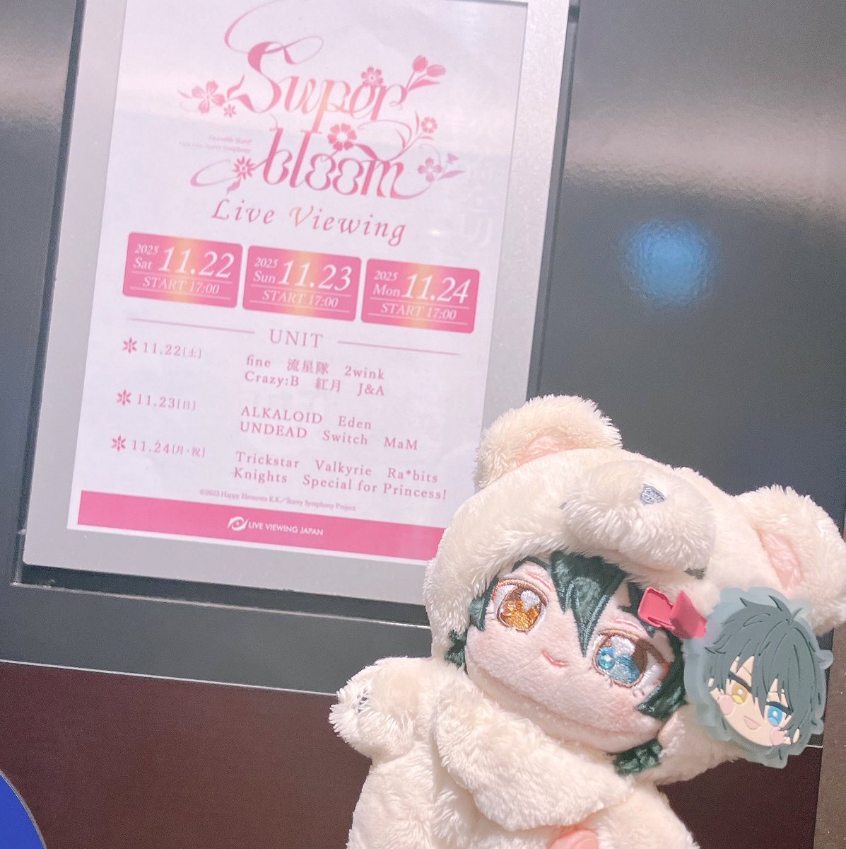 スタフォニを機にいつぬいのおめめにストーン付けた💎✨️