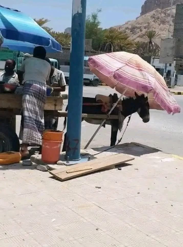 يدخُل الجنَّةَ أقوامٌ أفئِدتهم مِثل أفئِدةِ الطَّيْر.