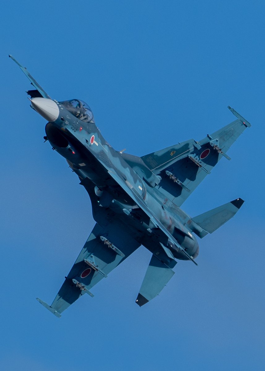 AIじゃないけど
AIみたいなF-2
2025 TSUIKI AIR SHOW