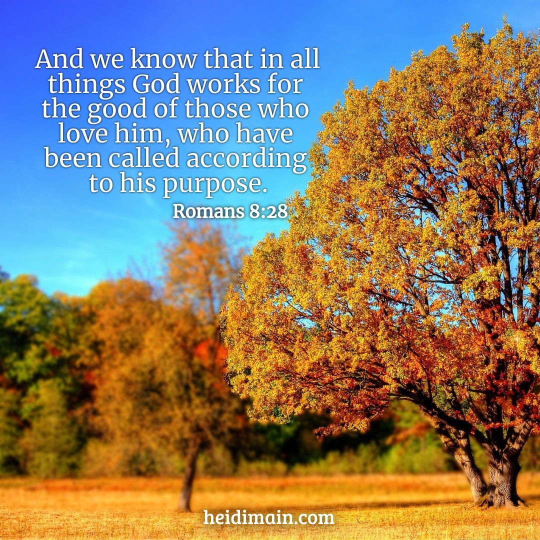 HeidiMain's tweet image. 💜💜💜
#ReflectionTuesday #reflections
#scripture #bibleverse #faith