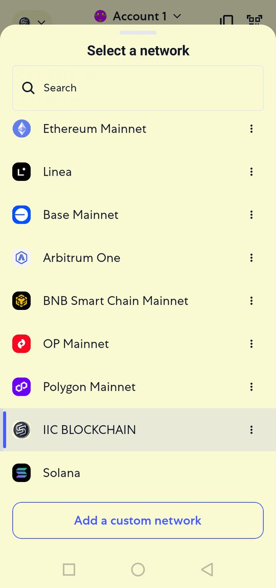 MAlam820's tweet image. Users now able to just select IIC BLOCKCHAIN from networks in the IIC S WALLET. 

Visit: metavtz.com

#BlockchainSecurity #wallet @BenArmstrongsX @CoinDesk @cryptorover @okx @MrBeast @ARafayGadit