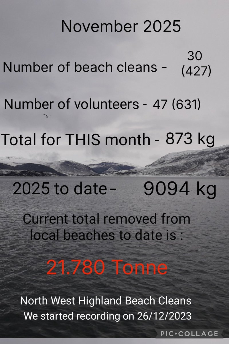 UllapoolSharkAmbassador tweet media