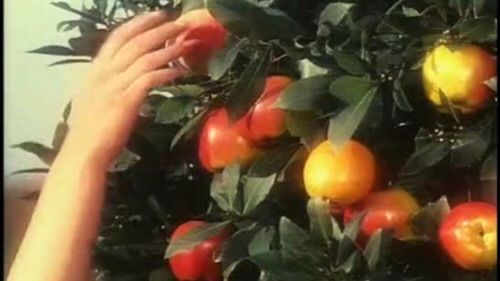 Burcu Kutay (@burcukutay1) on Twitter photo 