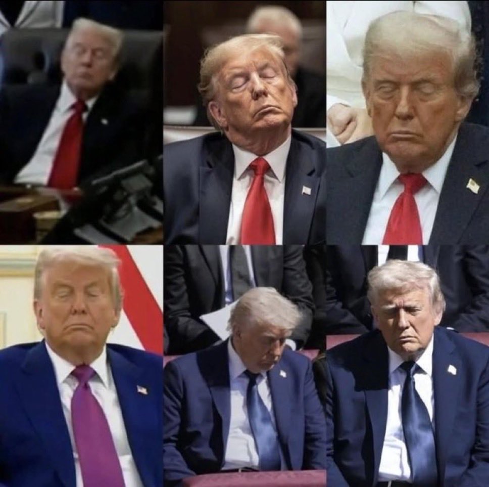 sandkey211's tweet image. Sleeping at his meeting is not working