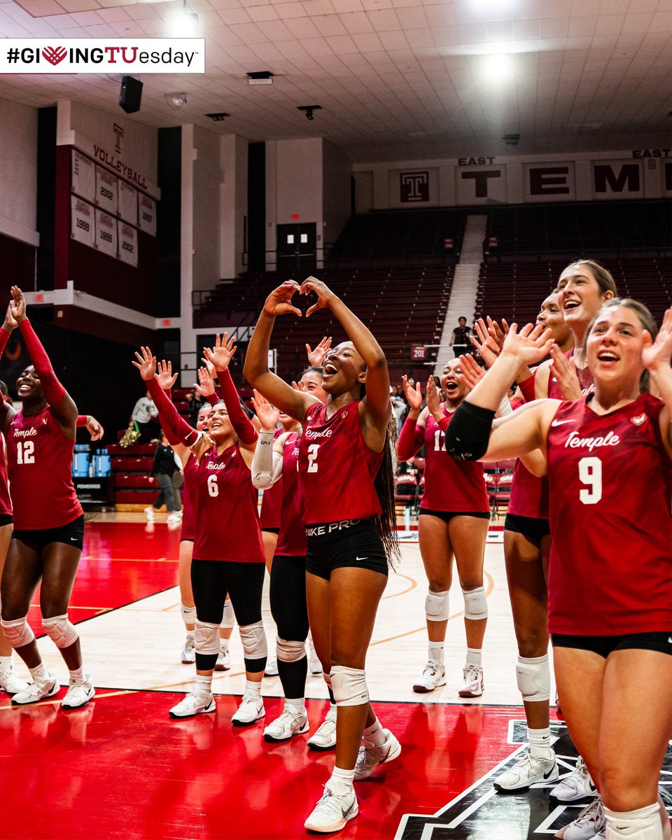 Temple Volleyball tweet media