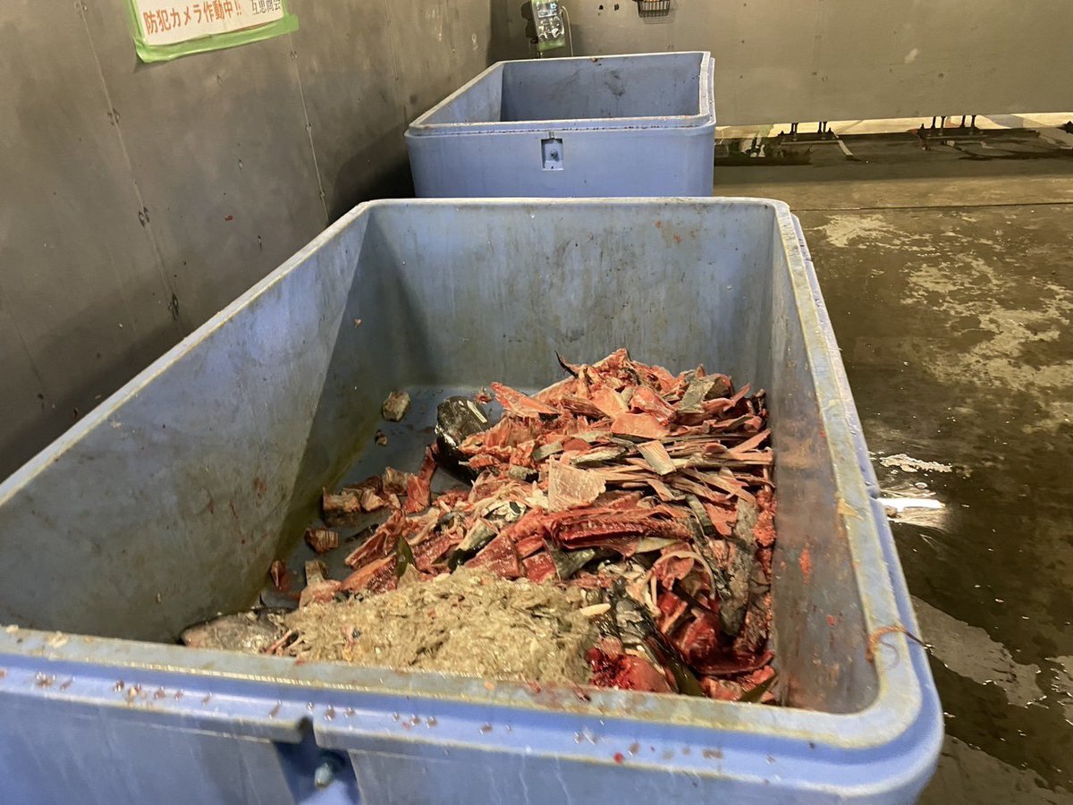 renya_mutaguchi's tweet image. 勝どきの「楽笑」が、豊洲市場の生ゴミを拾って湾岸タワマン貴族に食わせていた事件。貴族が食ってたのはこれか。「千と千尋の神隠し」のブタになった両親を思い出した。