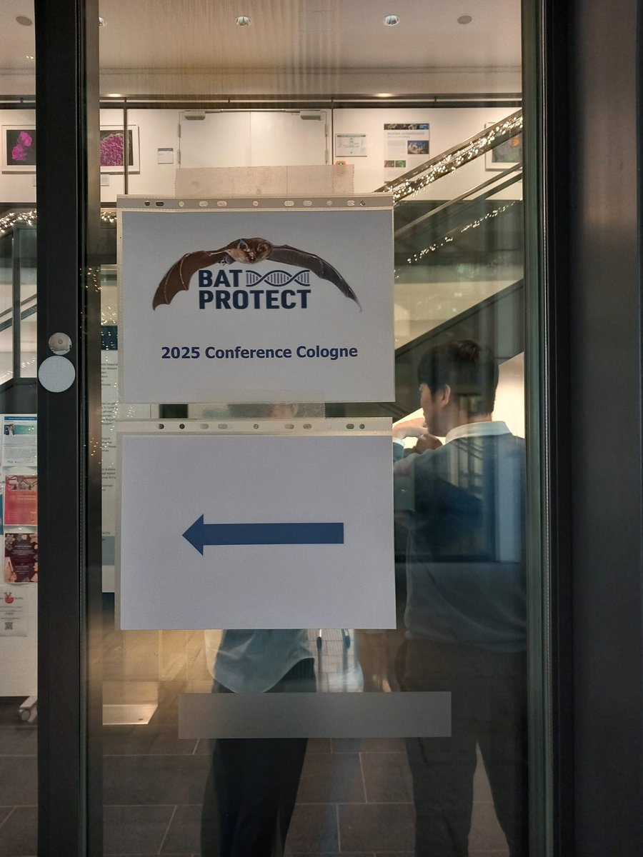 BatProtect tweet media