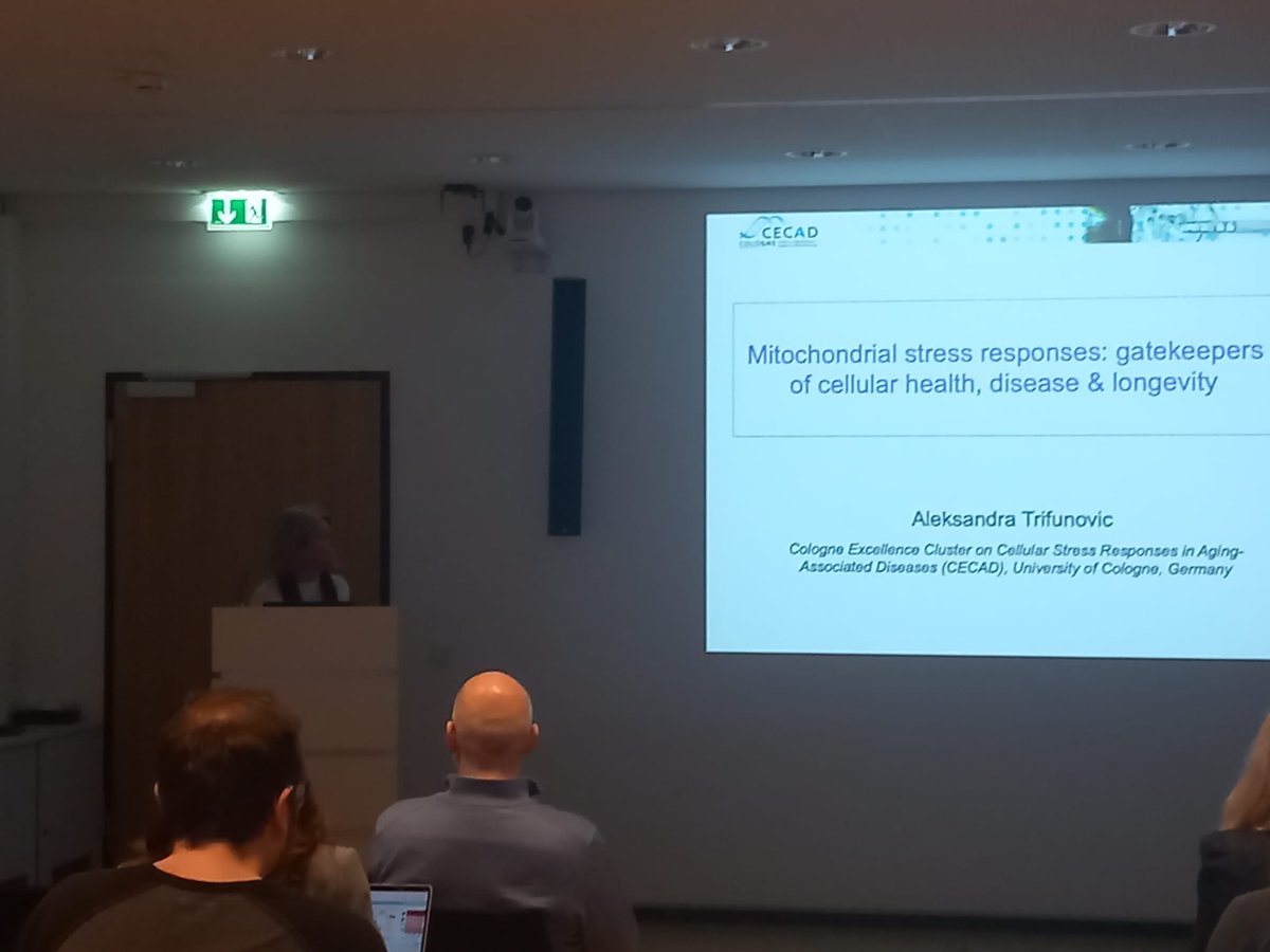 BatProtect tweet media