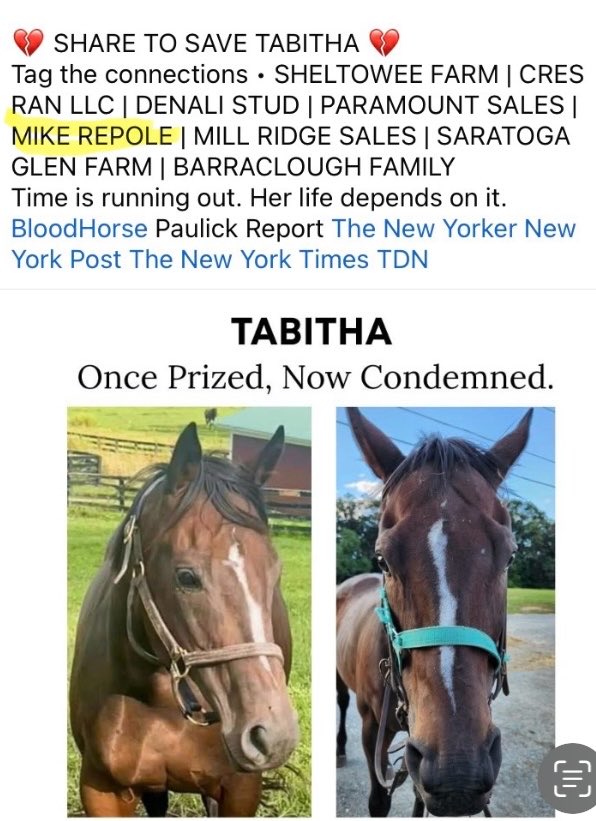 <a href="/GambleOnHumans/">Warhorse</a> <a href="/RepoleStable/">Repole Stable</a> <a href="/jockeyclub/">The Jockey Club</a> <a href="/BreedersCup/">Breeders' Cup</a> <a href="/TOBAhorses/">TOBA</a> <a href="/NTRA/">NTRA</a> <a href="/hisa_us/">Horseracing Integrity and Safety Authority</a> He doesn’t.