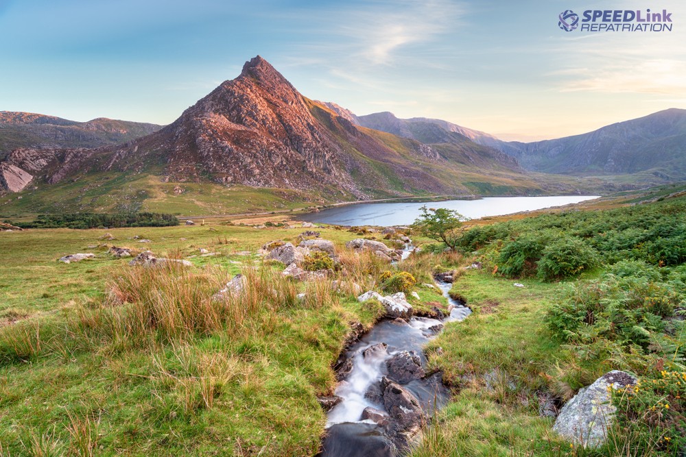 SpeedLink Repatriation tweet media