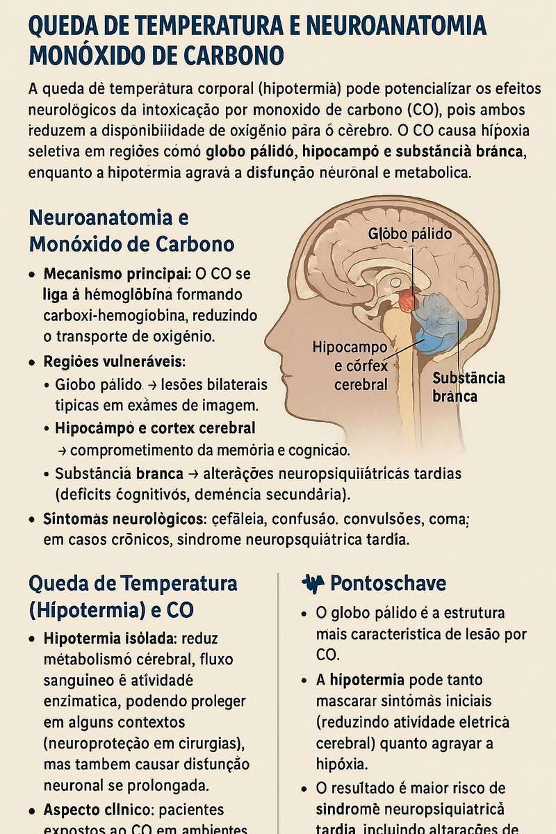 Fabrício Junior (@fabrciojun19217) on Twitter photo 